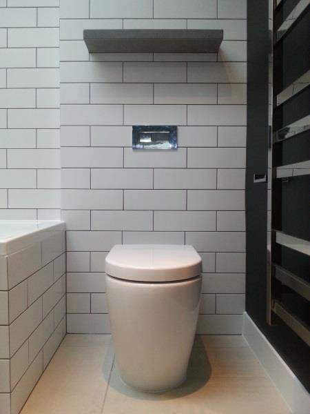 Concealed Cistern Toilet